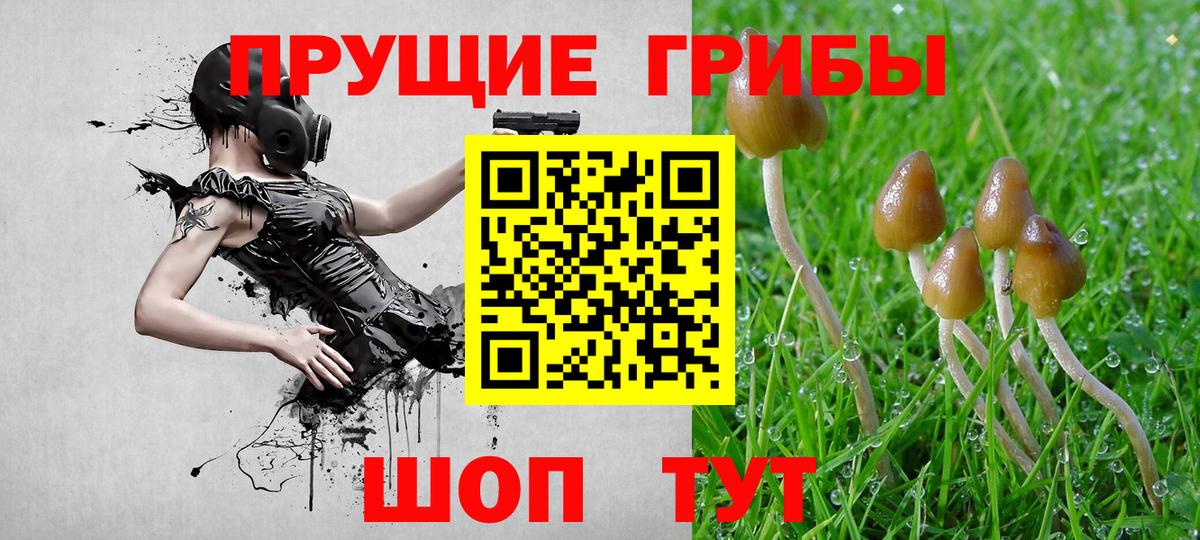 Гулькевичи  Псилоцибиновые грибы мицелий  Вход с VPN 